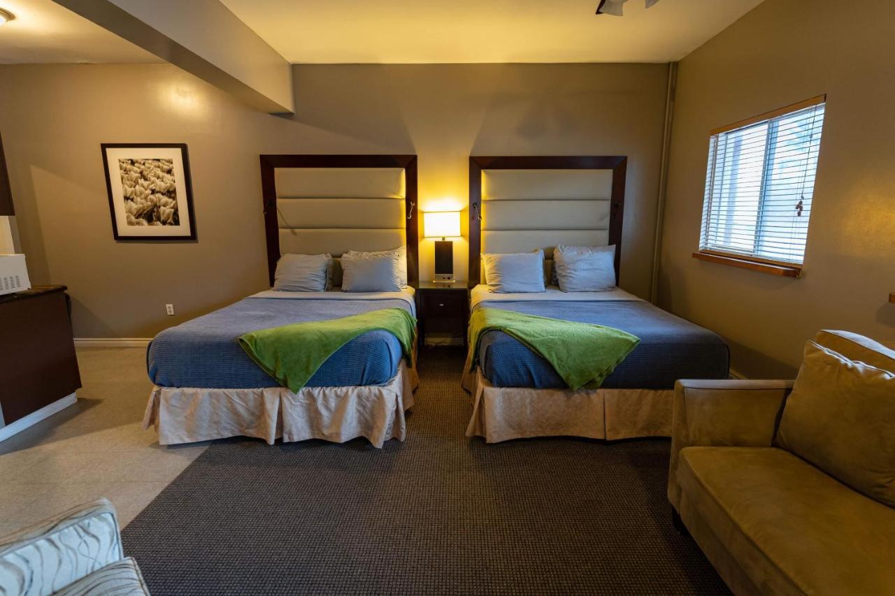 Stoco Lake Lodge Tweed 外观 照片